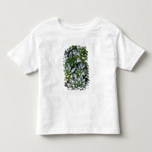T-shirt Pour Les Tous Petits Plante grasse Hen & Chicks avec gelée au début