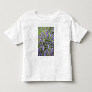T-shirt Pour Les Tous Petits Plantes de lavande