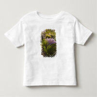 plantes du désert de Chihuahuan en fleurs