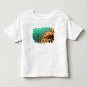 T-shirt Pour Les Tous Petits plongeur & Scorpionfish Scorpanopsis