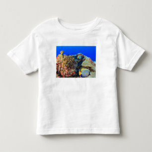 T-shirt Pour Les Tous Petits Poisson-ange royal Pygoplites diacanthus),