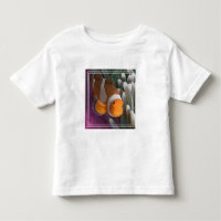 Poisson clown occidental