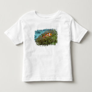 T-shirt Pour Les Tous Petits Poisson clown occidental (Amphiprion ocellaris)