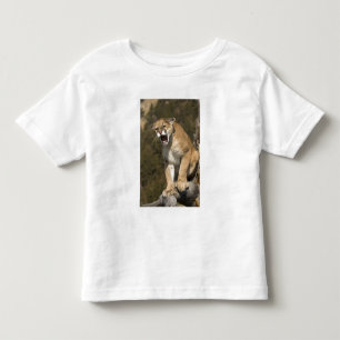 T-shirt Pour Les Tous Petits Pomme ou lion de montagne, pomme concolor, Captif 