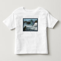 Poster de Niagara Falls
