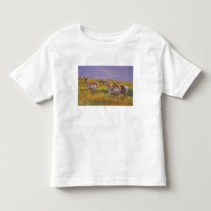 T-shirt Pour Les Tous Petits Pronghorn Antelope dans le Montana