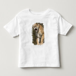 T-shirt Pour Les Tous Petits Puma ou lion de montagne, puma concolor, en captiv