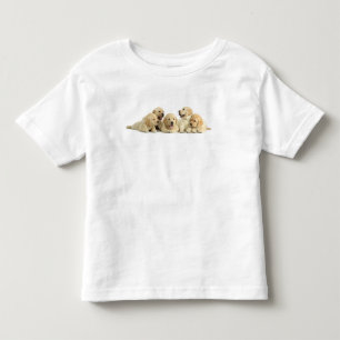 T-shirt Pour Les Tous Petits Pupin doré du Labrador