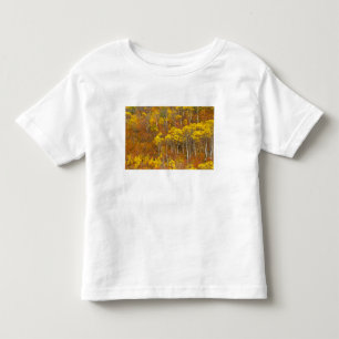 T-shirt Pour Les Tous Petits Quaking de peuplier faux-tremble en pleine couleur