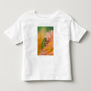 T-shirt Pour Les Tous Petits Rainette du Pacifique sur des fleurs dans notre ja
