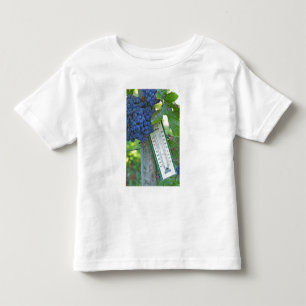 T-shirt Pour Les Tous Petits Raisins de Merlot au Château la Grave Figeac, un