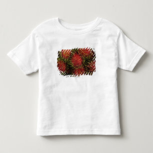 T-shirt Pour Les Tous Petits Ramboutan