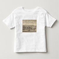 Recherche de Palmer, vignoble