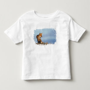 T-shirt Pour Les Tous Petits renard roux, Vulpes vulpes