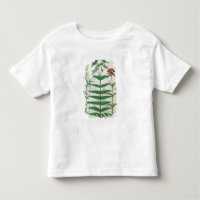 Reseda, euphorbe et oeillet