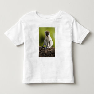 T-shirt Pour Les Tous Petits Réserve de gibier de Samburu, Kenya, Vervet Monkey