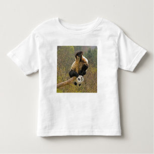 T-shirt Pour Les Tous Petits Réserve de Wolong Panda, Chine, 2 ans et demi