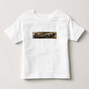 T-shirt Pour Les Tous Petits Respublica, Aquila Gentium