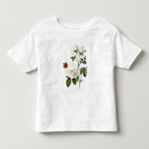 T-shirt Pour Les Tous Petits Rosa : Bengale le Hymenes, des 'roses de Les