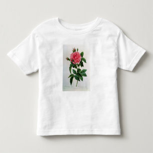 T-shirt Pour Les Tous Petits Rosa Gallica Regallis