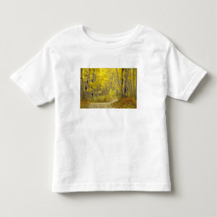 T-shirt Pour Les Tous Petits Route avec couleurs d'automne et peupliers tremble