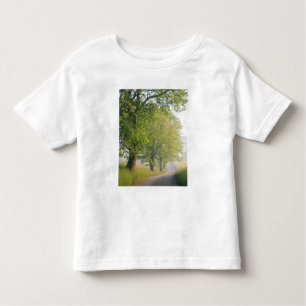T-shirt Pour Les Tous Petits Route couverte de brouillard, Cades Cove, Great Sm