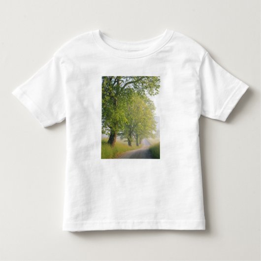 T-shirt Pour Les Tous Petits Route couverte de brouillard, Cades Cove, Great Sm (Devant)