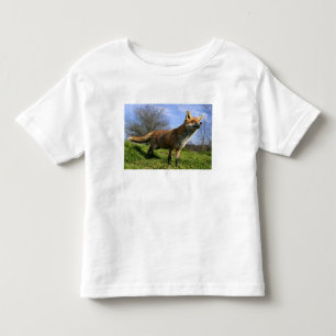 T-shirt Pour Les Tous Petits Royaume-Uni, Angleterre. Renard roux (Vulpes vulpe