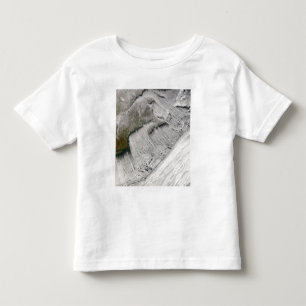 T-shirt Pour Les Tous Petits Rues de nuage outre de la Nouvelle Angleterre et