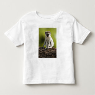 T-shirt Pour Les Tous Petits Samburu Game Reserve, Kenya, Vervet Monkey,