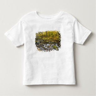 T-shirt Pour Les Tous Petits Sanderson Brook. Forêt d'État de Chester-Blanford.
