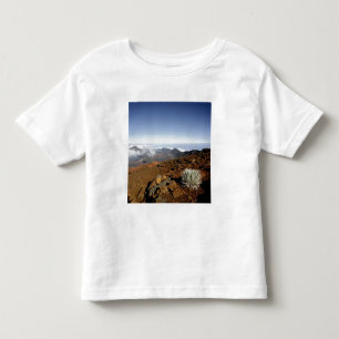 T-shirt Pour Les Tous Petits Silversword sur le bord du cratère Haleakala de pr