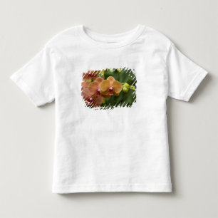T-shirt Pour Les Tous Petits Singapour Sanskrit pour la Cité du Lion). National