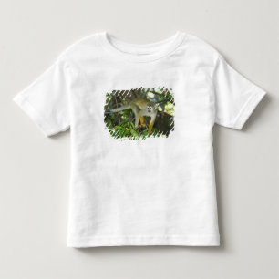 T-shirt Pour Les Tous Petits Singe écureuil commun, (Saimiri sciureus), Rio