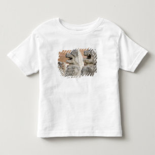 T-shirt Pour Les Tous Petits Singhat Wat Thammikarat 2