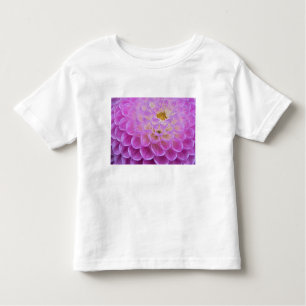 T-shirt Pour Les Tous Petits Site de sépulture de fleurs de Chrysanthemum