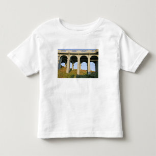 T-shirt Pour Les Tous Petits Supports en arc du pont Patterson Memorial