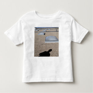 T-shirt Pour Les Tous Petits Système d'éclairage solaire