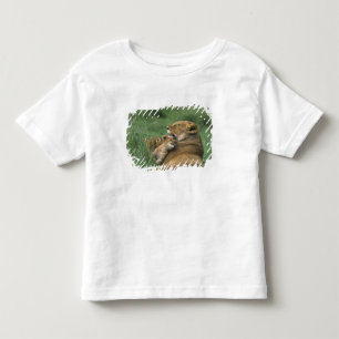 T-shirt Pour Les Tous Petits Tanzanie, cratère de Ngorongoro. Mère des lions af