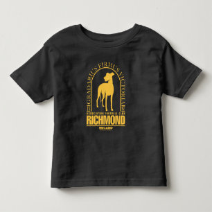 T-shirt Pour Les Tous Petits Ted Lasso   AFC Richmond Gold Arched Logo