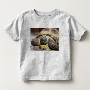 T-shirt Pour Les Tous Petits Tibbs
