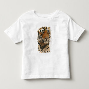 T-shirt Pour Les Tous Petits Tigre du Bengale royal sur le rocher, Ranthambhor