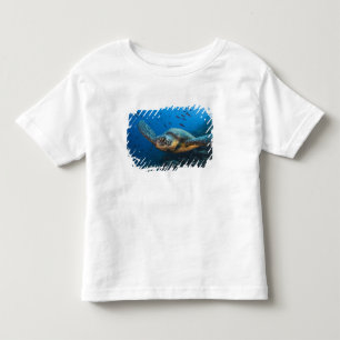 T-shirt Pour Les Tous Petits Tortue noire (verte) (Chelonia agassizi)