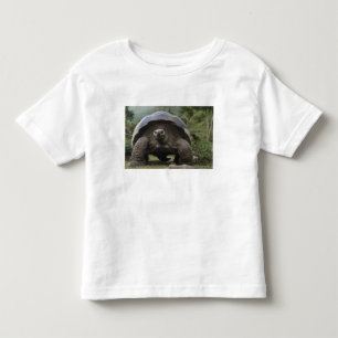 T-shirt Pour Les Tous Petits Tortues géantes des Galapagos Geochelone