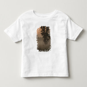 T-shirt Pour Les Tous Petits Tôt le matin, soleil levant et brouillard au sol