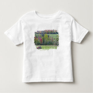 T-shirt Pour Les Tous Petits Tracteur avec balai à foin en champ vert avec