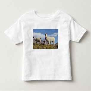 T-shirt Pour Les Tous Petits Troupeau de lama décoré dans les montagnes du Puna