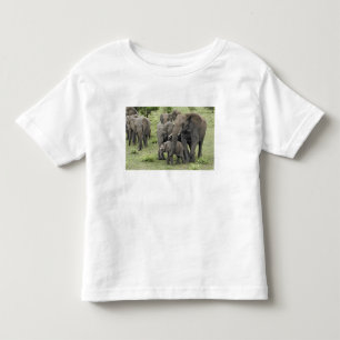 T-shirt Pour Les Tous Petits troupeau d'éléphants d'Afrique, Loxodonta africana