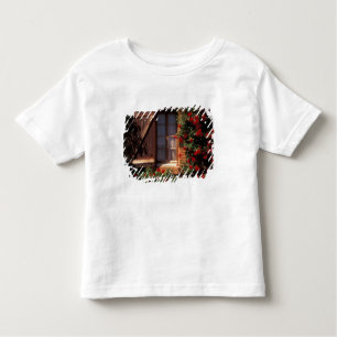 T-shirt Pour Les Tous Petits UE, France, Provence, Vaucluse, Apt. Maison