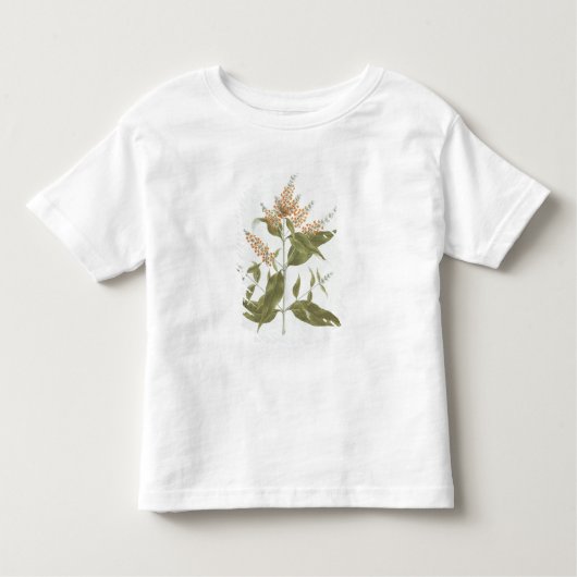 T-shirt Pour Les Tous Petits Umtar (polystachya de buddleia) (la semaine (Devant)